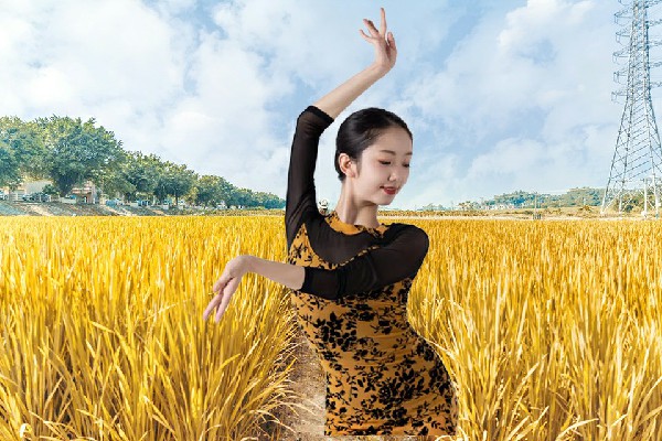 宰半香荣获仙人湾瑶族乡国色优舞节奏者，赵信的野望