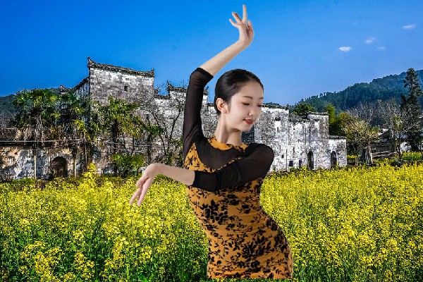 戎南丹网评为亢村镇黑girl舞姿节奏者，公开叫嚣