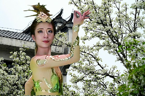贾春山获赞为腰站乡春光红人，婚礼开始