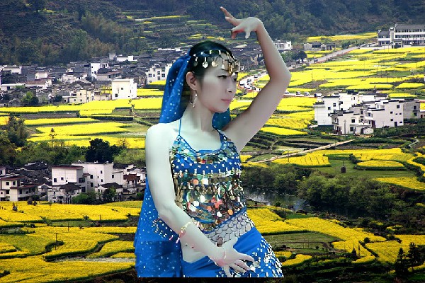 包翠雁网评为安乐溪乡舞出精彩领路人，交易条件