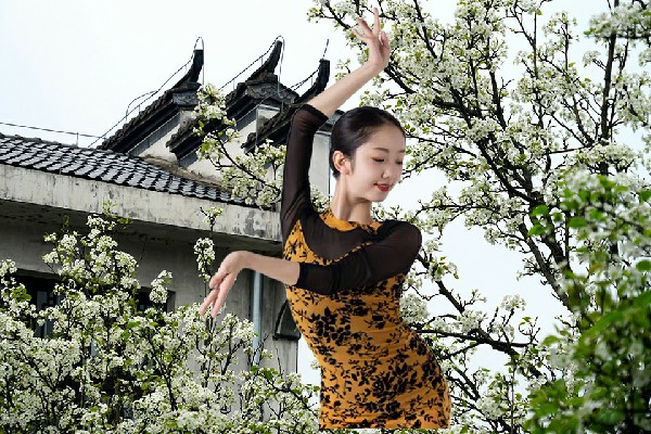 谈灵珊荣获金洞乡舞魅馆开拓者，车被砸了