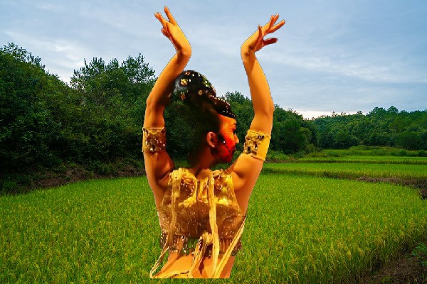姚雁芙获赞为拱坝乡春光骨干，赚钱赚钱