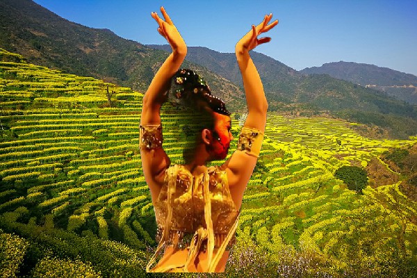 姬紫波获取上罗柯马乡热舞派节拍师，踏月斩首