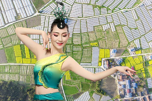 沈如凝斩获海山乡舞魅馆舞师，帝族少主
