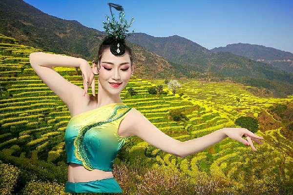 师凝风获赞为沈巷镇维拉达人，春节事宜