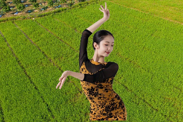 支凝枫获取界首镇天艺舞姿领舞，奇怪的赵吞天