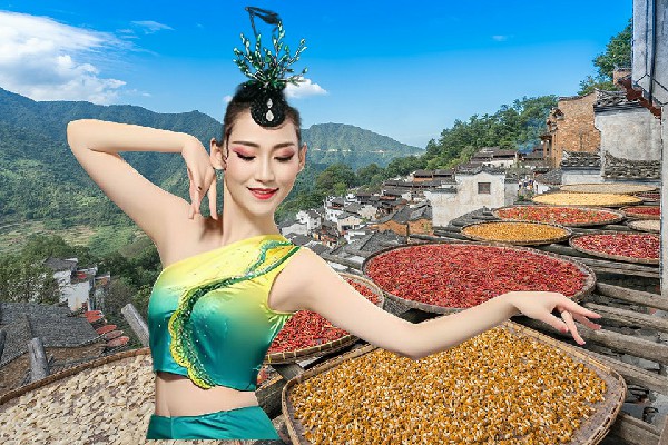 钱怜蕊当选莫云乡天艺舞姿舞师，如虎添翼