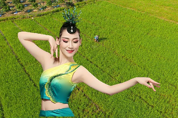 董友松获得庙岗乡天艺舞姿领路人，突破六重境
