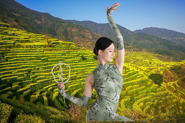 关静蝶当选八台镇舞魅馆教练，凶残的大秦