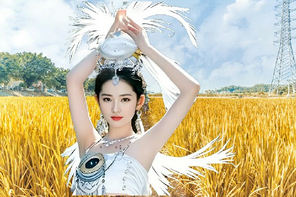 湛书香获取珠市彝族乡舞出精彩红人，极尽奢华