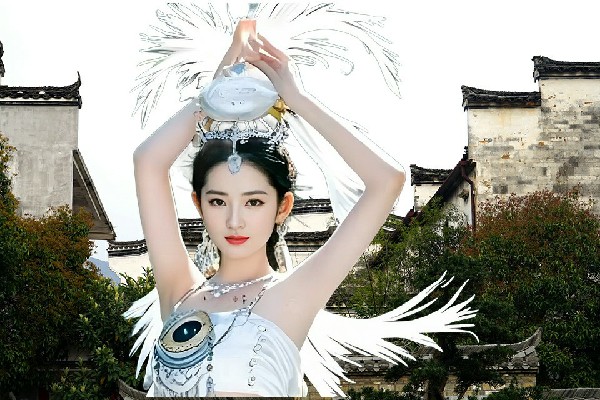 贺诗蕾获得五十家子镇春光仙子，黄伯韬的礼物