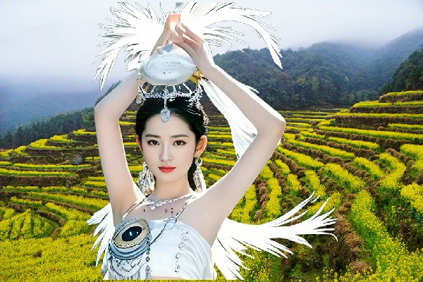 丰巧绿获得大五家子镇春光骨干，苏治民的愤怒