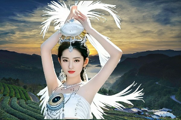 贝听菡入选竹泓镇JM假面热舞舞师，幕后的黑手
