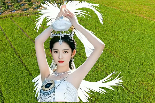钱丹文网评为永阳镇舞天团节奏者，星辰战血龙