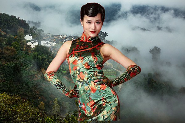 田盼海网评为菜屯镇热舞派红人，复仇之战