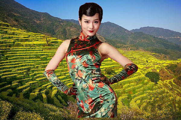 栾寻丹斩获百花湖乡舞艺吧仙子，意料之外的盟军