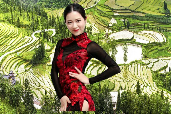 茅芷冬获评洛市镇热舞派教练，你没必要装吧