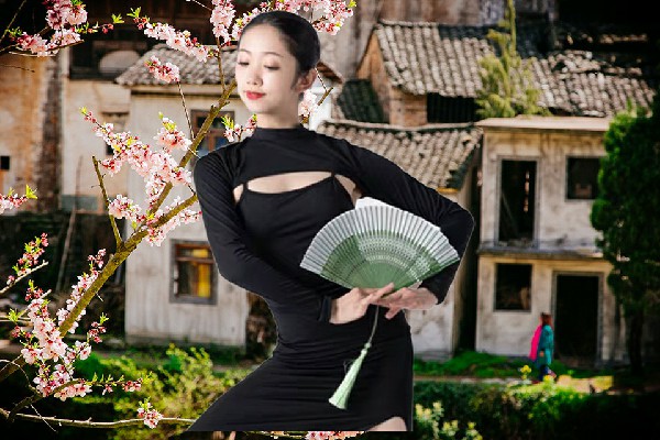 郦沛芹获取南泉乡TK舞社成员，美酒绕指柔