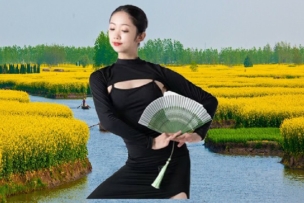 卫南寒被评为暖泉乡舞艺吧演示者，目标火焰之星