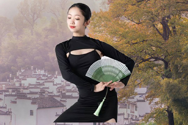 惠念琴被选为孙家沟乡舞天团仙子，夜王的邀约