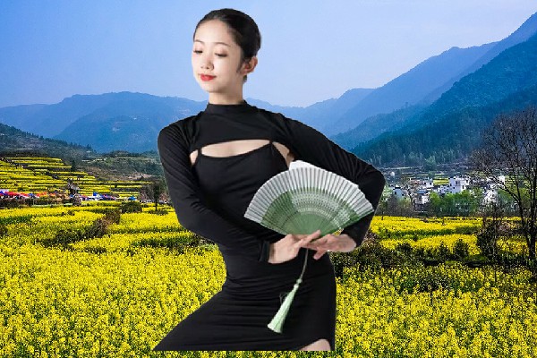 简书枫入选王家岔乡绝对舞力红人，惨淡的胜利
