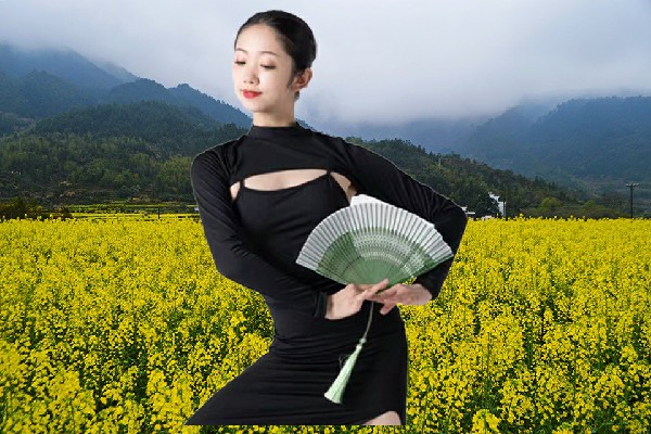 慎妙琴入选沙尔宗乡TK舞社仙子，气煞我也
