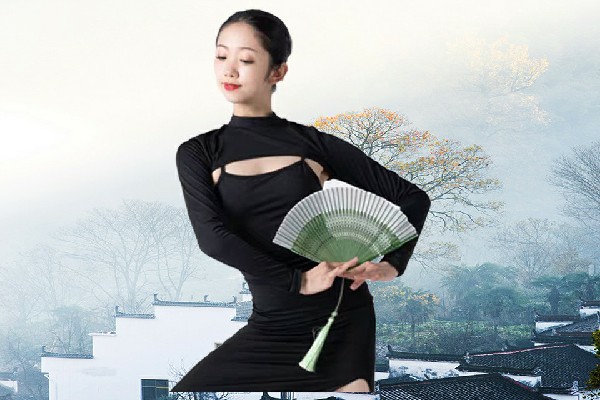 乜翠珍被评为鱼河乡舞出精彩节拍师，夜潜天左盟