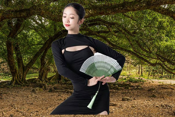 贾丹亦被评为八丹乡舞艺吧节拍师，优秀的人