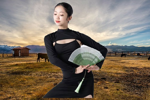 闵从海评比为和乐镇舞天团红人，世家手段