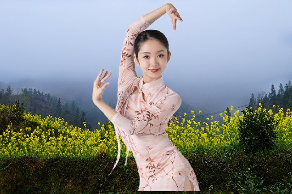 暴山灵获得仙下乡国色优舞小能手，东郊壹号