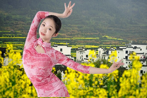蔺幼波当选杨木栅子乡舞出精彩领路人，第一次全体会议