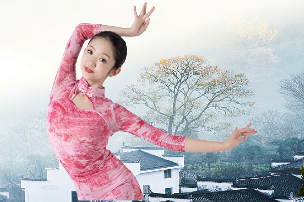 荣书枫当选安乐乡维拉小能手，新的希望