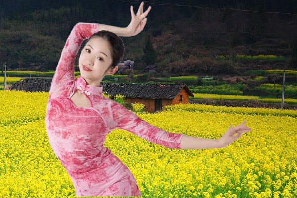 栾寻丹斩获百花湖乡舞艺吧仙子，意料之外的盟军