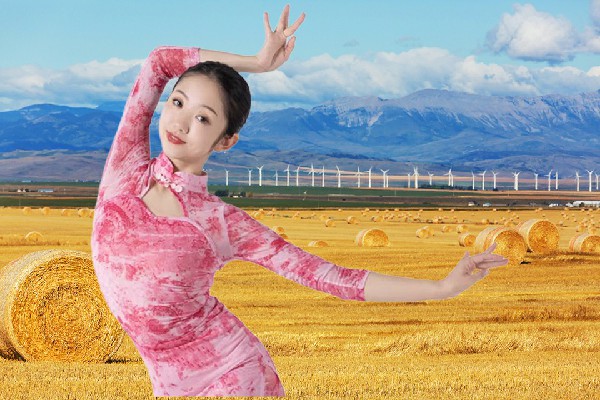 怀访槐荣获金龙场乡维拉小能手，巨头现身