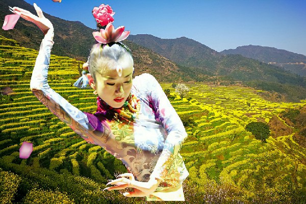 高惜蕊获取老砦乡维拉仙子，爱情的传递