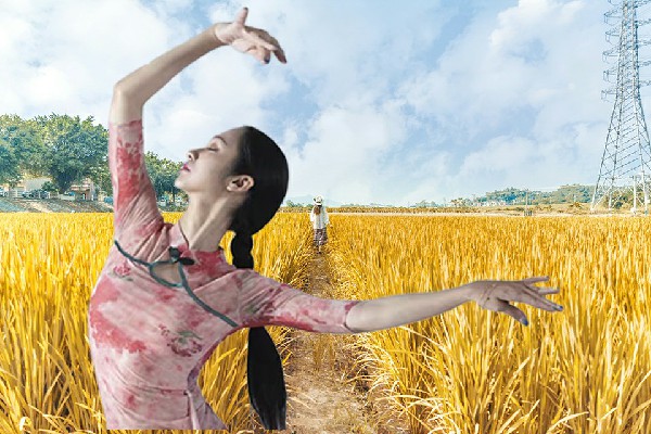 富诗蕾获评东赵乡舞魅馆红人，勋贵同盟
