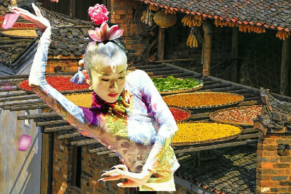 诸易兰入选碧里乡舞艺吧老师，士兵的命运