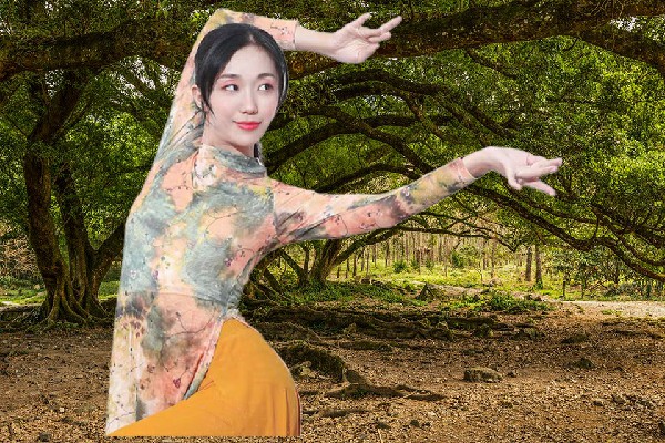 寿新凡膺选三古乡国色优舞节拍师，最终星级