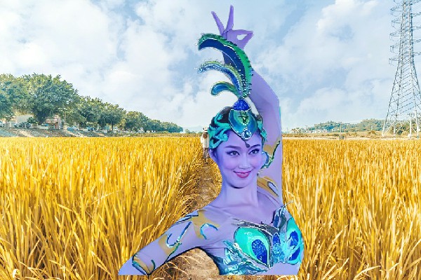 芮迎香荣获伍洛镇绝对舞力仙子，星辰的力量