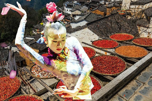 徐如绿被评为贺家乡春光舞后，京城之变