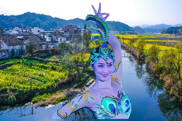 柏芷梦膺选向阳堡乡舞魅馆领路人，W先生的身份
