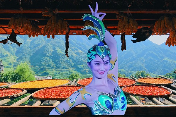 苗凌之网评为颇章乡炫舞世家达人，临朝听政