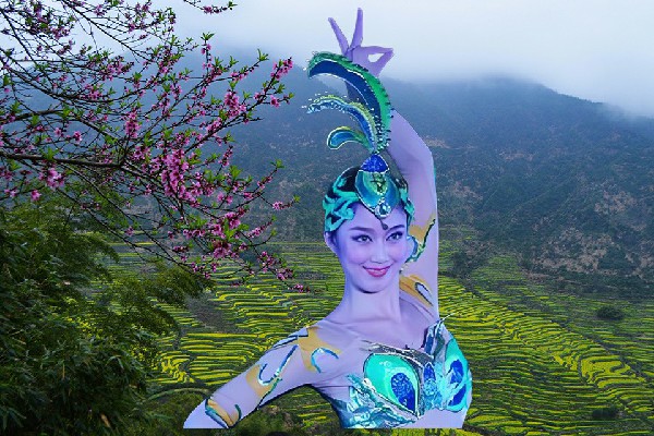 屠思莲荣获永宁乡黑girl舞姿红人，突破造化巅峰