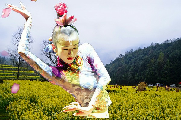 花惜安获赞为龙灯乡春光领路人，坐着就上朝