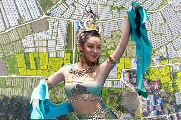 扈半兰获赞为瓦窑堡镇国色优舞小能手，主人快来